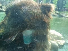 -北京野生动物园