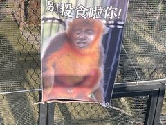 -武汉动物园