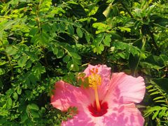 -人民公园(罗湖区)