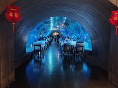 -涛·海底餐厅·美人鱼·自助餐·海底隧道(三亚海棠湾洲际度假酒店)