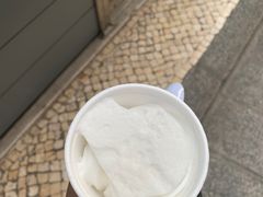 -洪馨椰子