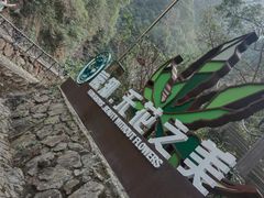 -宁波五龙潭景区