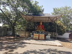 -上海佘山国家森林公园天马山园