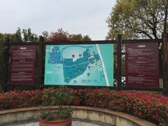 -中国扬子鳄村
