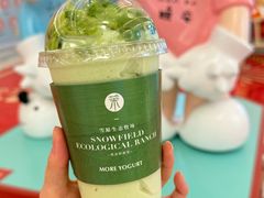 -茉酸奶(春熙路店)