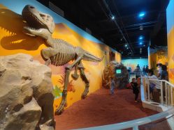 -北京科学中心儿童乐园