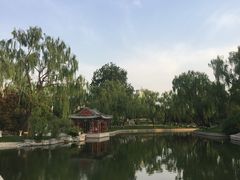 -万柳阁小馆·花园餐厅(龙潭湖店)