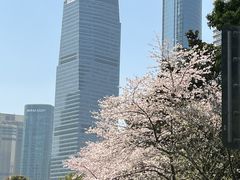 -陆家嘴中心绿地