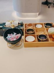 -水女人科技美肤·LDM·超清秀