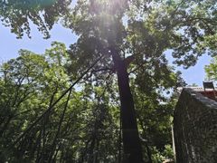 -北京上方山国家森林公园