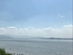 -深圳湾公园(南山区)