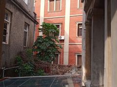 -杨桃院子咖啡吧(中华红墨店)