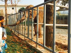 -西安秦岭野生动物园