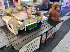 -凤城·食都