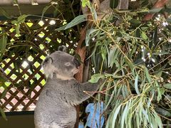 -费瑟代尔野生动物园