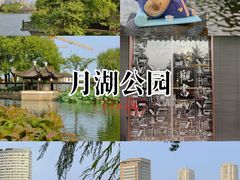 -月湖公园