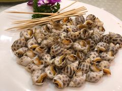 白灼花螺-四海之家(蛇口店)