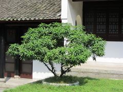 -白鹿洞书院