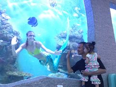-瑞德姆美人鱼海底演艺主题餐厅(亚龙湾店)