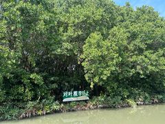 -大湾区中央湿地公园