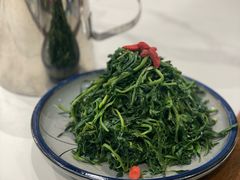 清香枸杞苗-国强手抓(西夏区店)