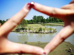 -溱湖国家湿地公园