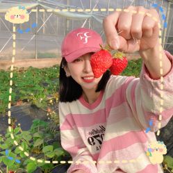 -前小桔亲子创意农场·草莓采摘·露营烧烤