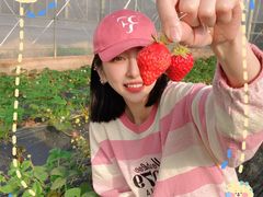 -前小桔亲子创意农场·草莓采摘·露营烧烤