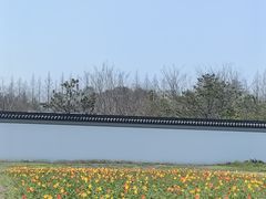 -上海滨江森林公园
