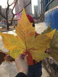 -大望京儿童游乐场