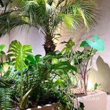 每一层都是好好看～这次我们直接pick了一个双人餐