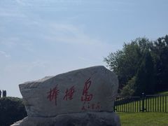 -棒棰岛宾馆景区