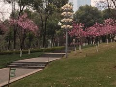 -重庆市江北嘴中央商务区中央公园