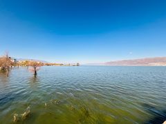 -洱海月湿地公园