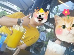 -了不起的考拉咖啡店(高新店)