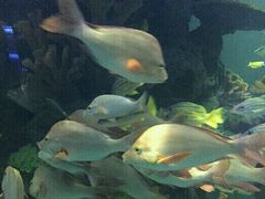 -多彩贵州城极地海洋世界