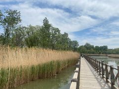 -野鸭湖国家湿地公园