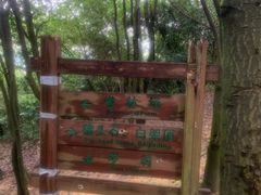 -火炉山森林公园