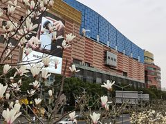 -陆家嘴中心绿地