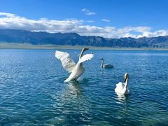 -赛里木湖风景名胜区