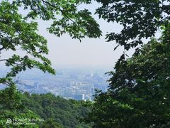 -灵顺寺