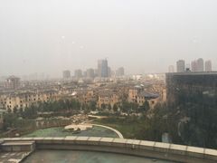 -德州凤冠假日酒店