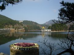-庐山风景区花径公园