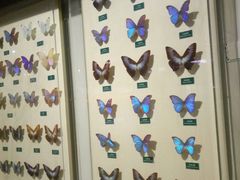 -陕西自然博物馆