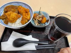 川香茄子煎鸡饭-吉野家(上海美罗城店)