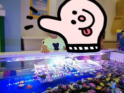 -万达宝贝王(上海浦江店)