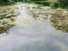 -贵阳市花溪国家城市湿地公园