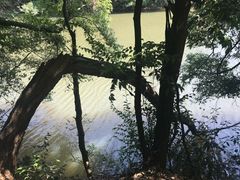 -小格里自然风景区