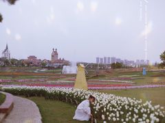 -花博汇(知音花月夜)