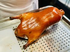 -紫光园·烤鸭·北京菜(团结湖店)